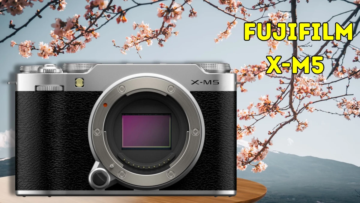 Best Cameras for Photography in 2025: Top 10 Mirrorless Picks for Beginners