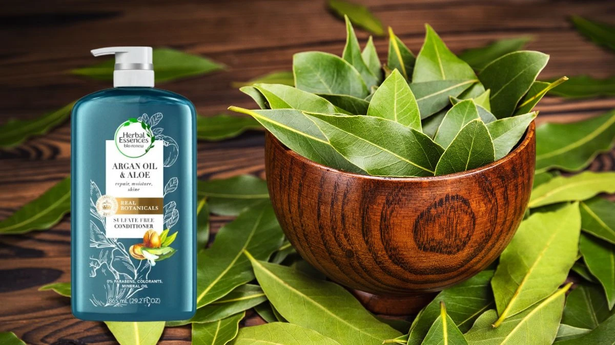 Top 5 Best Shampoos for Dandruff and Hair Fall Without Chemicals