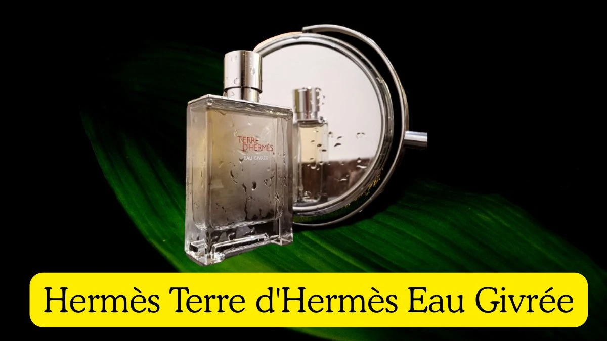 Top 10 Perfume Brands for Men Top Shelf Cologne