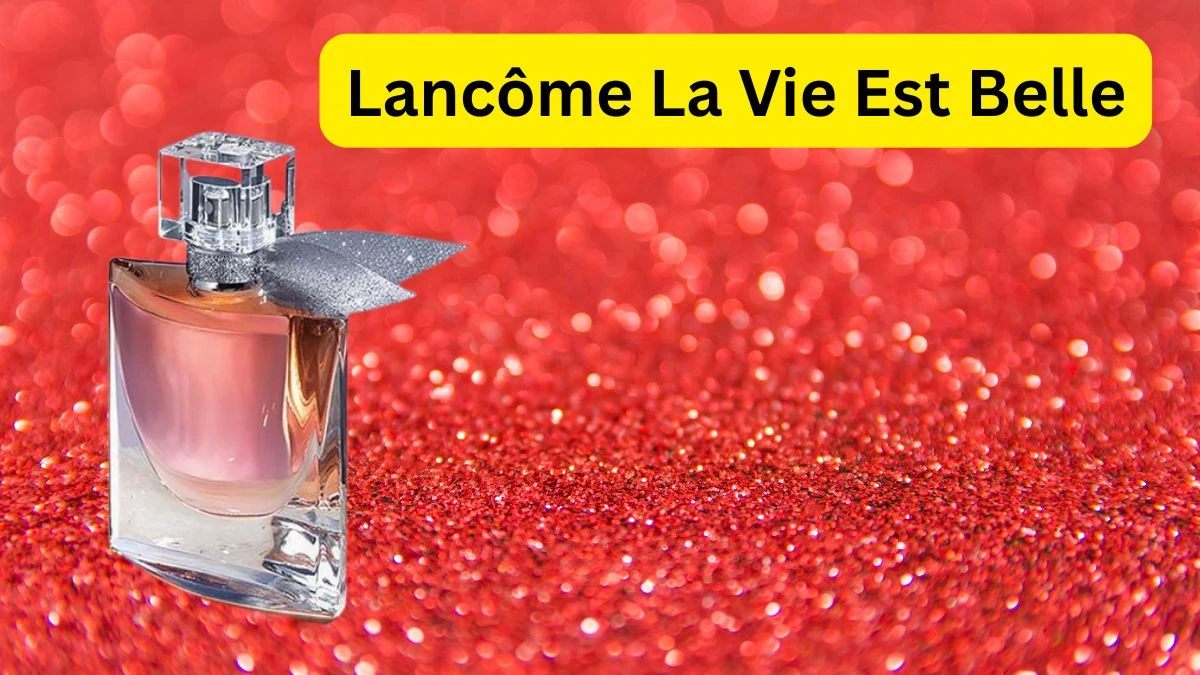 Top 10 Best Long-Lasting Perfumes for Women That Define Elegance