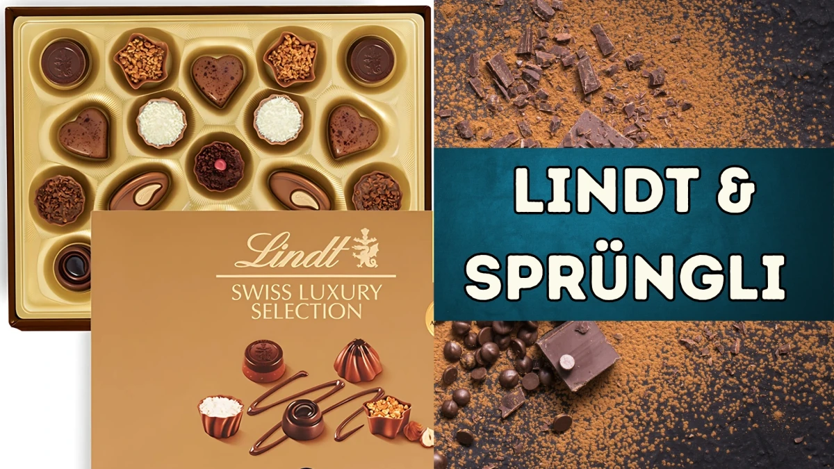 Top 10 Best Chocolate Brands in the World Ranked From Highest to Lowest