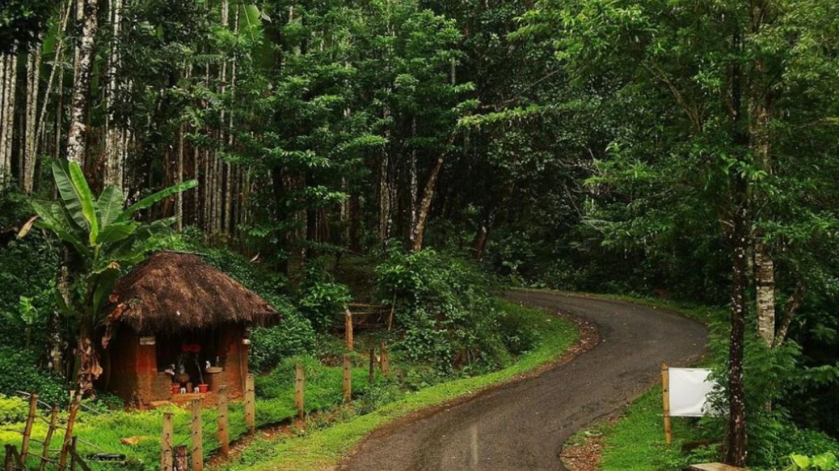 Beat the Heat in Paradise: Top 10 Places to Visit in Goa This Summer