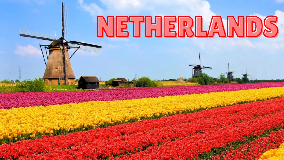 Top 10 Richest Countries in the World 2025