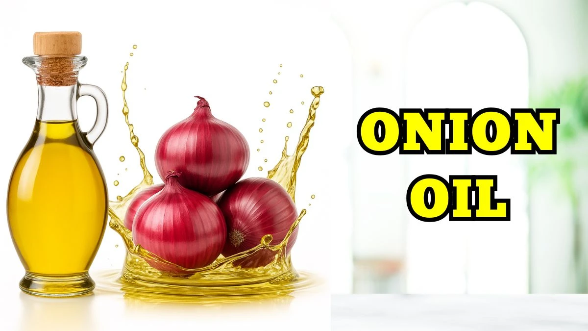 Say Goodbye to Hair Fall! Top 10 Best Hair Oils for Growth and Thickness