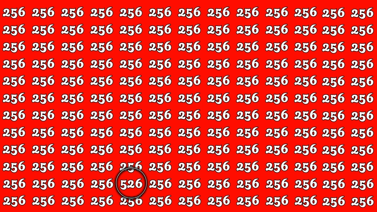 Optical Illusion 6 Seconds Challenge: Only People with Eagle Eyes Can spot the Number 526