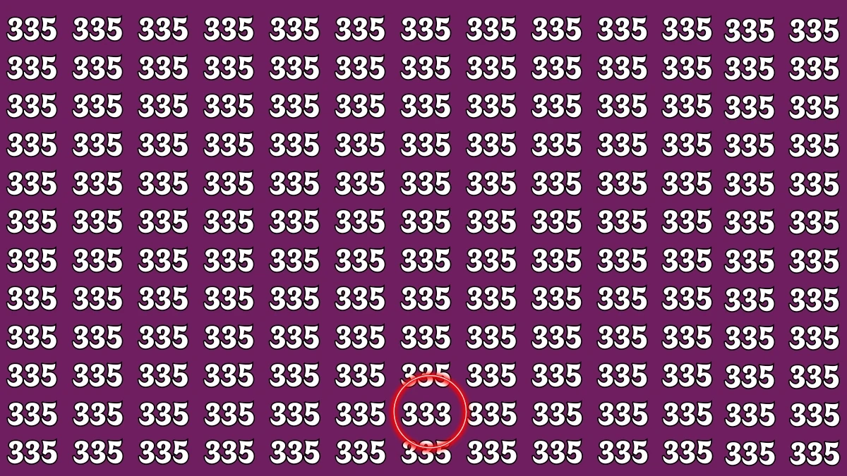Optical Illusion 8 Seconds Challenge: Only People with Eagle Eyes Can spot the Number 333
