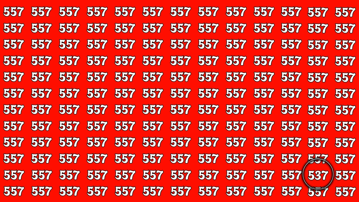 Optical Illusion 8 Seconds Challenge: Only People with Eagle Eyes Can spot the Number 537