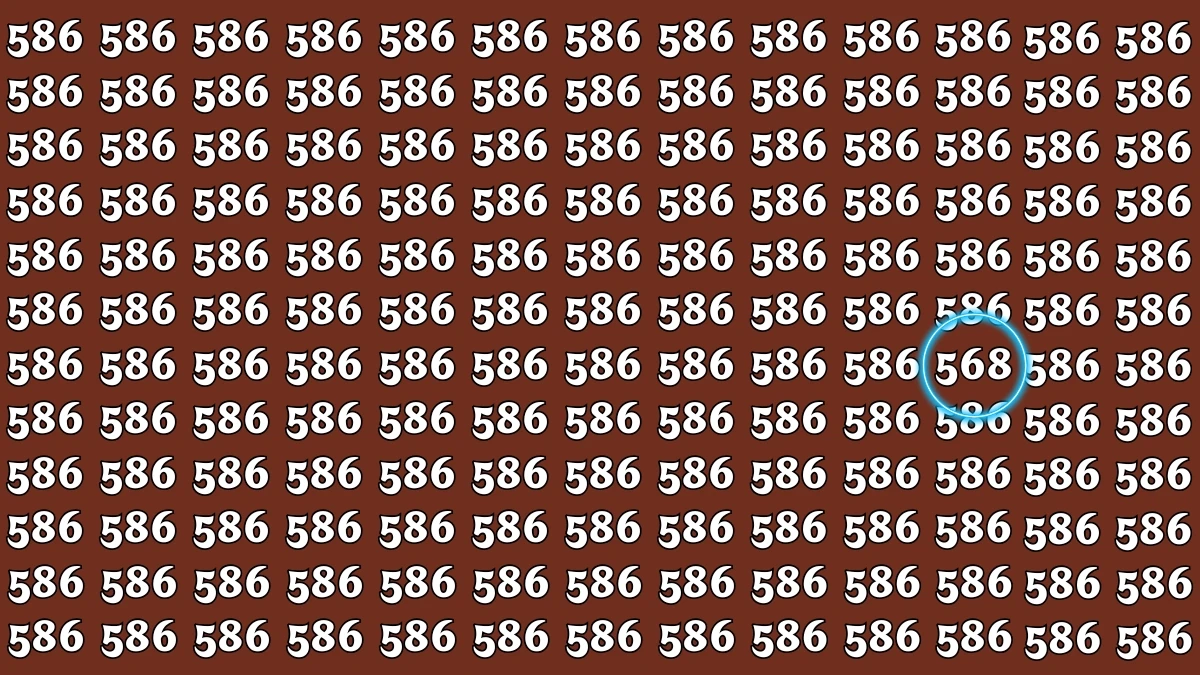 Optical Illusion 8 Seconds Challenge: Only People with Eagle Eyes Can spot the Number 568