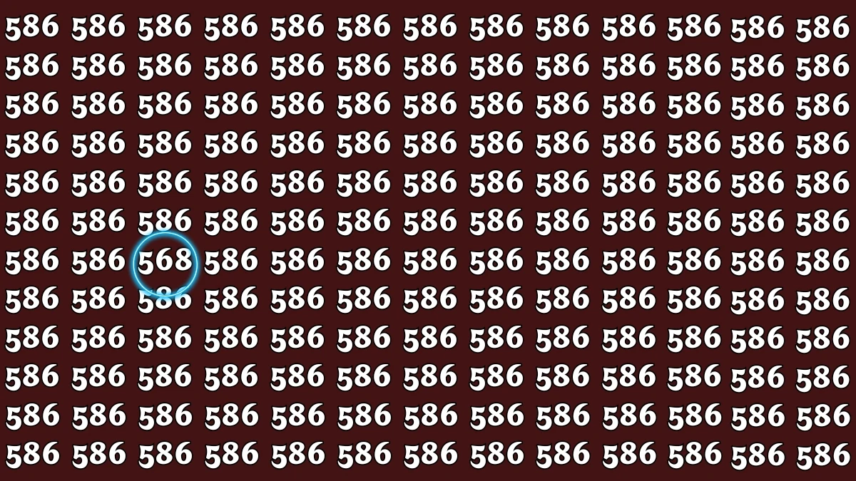 Optical Illusion 8 Seconds Challenge: Only People with Eagle Eyes Can spot the Number 568