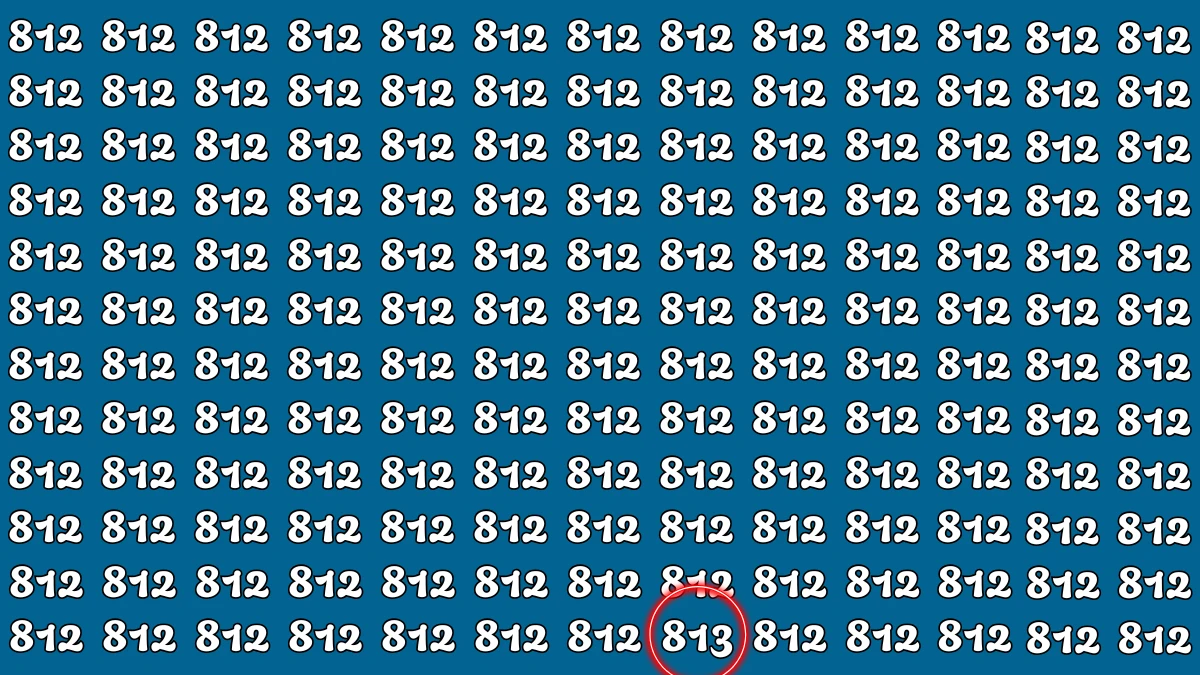 Optical Illusion 8 Seconds Challenge: Only People with Eagle Eyes Can spot the Number 813