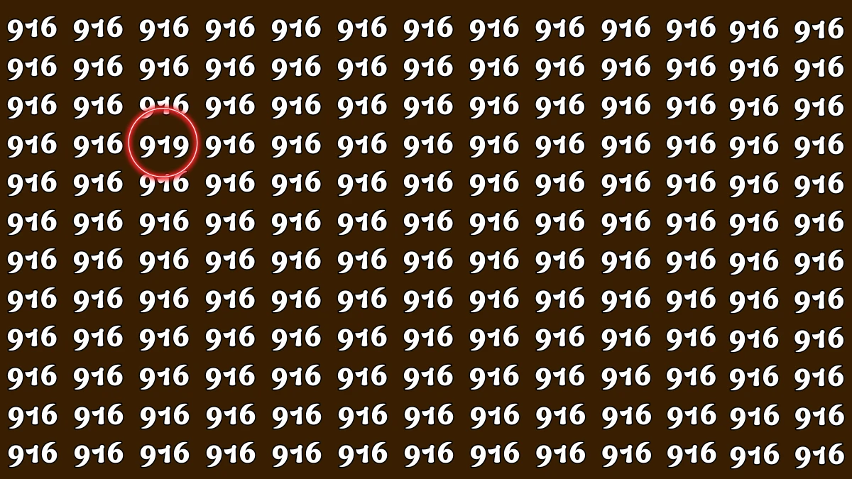 Optical Illusion 8 Seconds Challenge: Only People with Eagle Eyes Can spot the Number 919