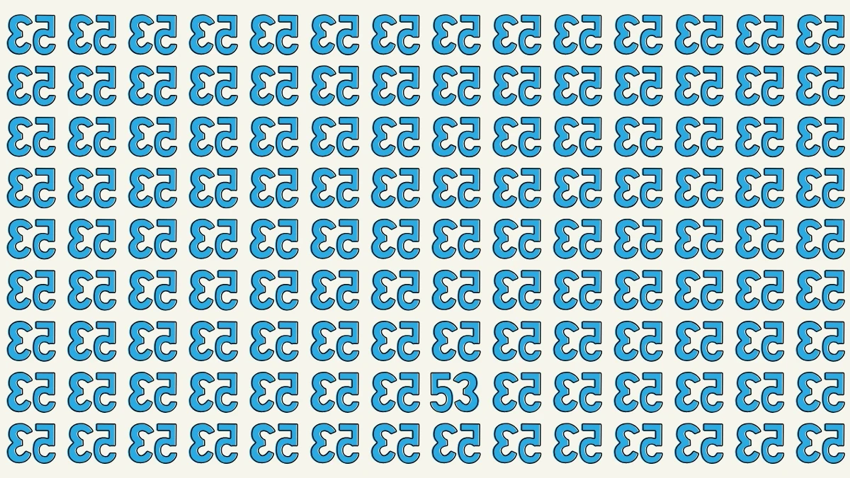 Optical Illusion: Within 7 Seconds Spot The Number 53 among Inverted 53