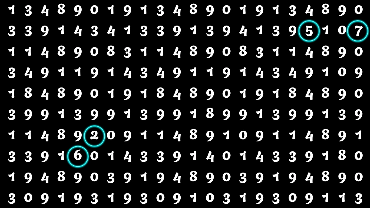 Optical Illusion: Within 5 Seconds Spot The Number 2,5,6,7