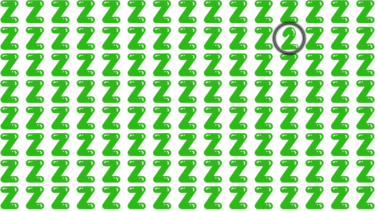 Optical Illusion: Within 5 Seconds Spot The Number 2 among Z