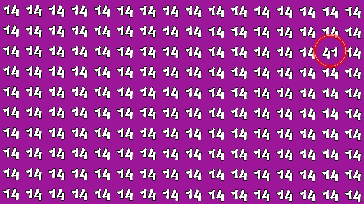 Optical Illusion: Within 5 Seconds Spot The Number 41 among 14