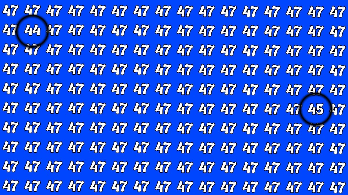 Optical Illusion: Within 5 Seconds Spot The Number 44 and 45 among 47