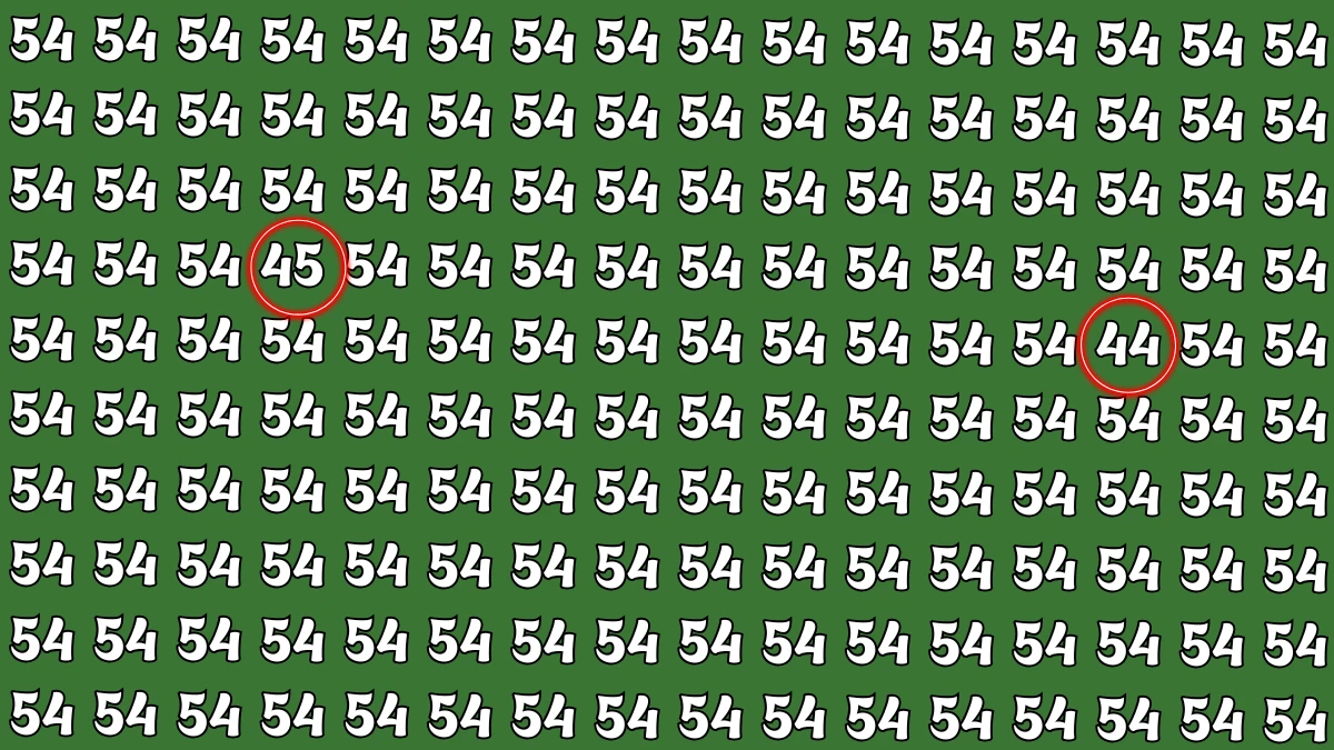 Optical Illusion: Within 5 Seconds Spot The Number 44 and 45 among 54