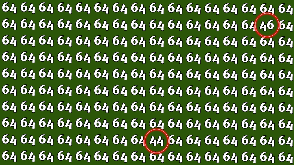 Optical Illusion: Within 6 Seconds Spot The Number 44 and 46 among 64