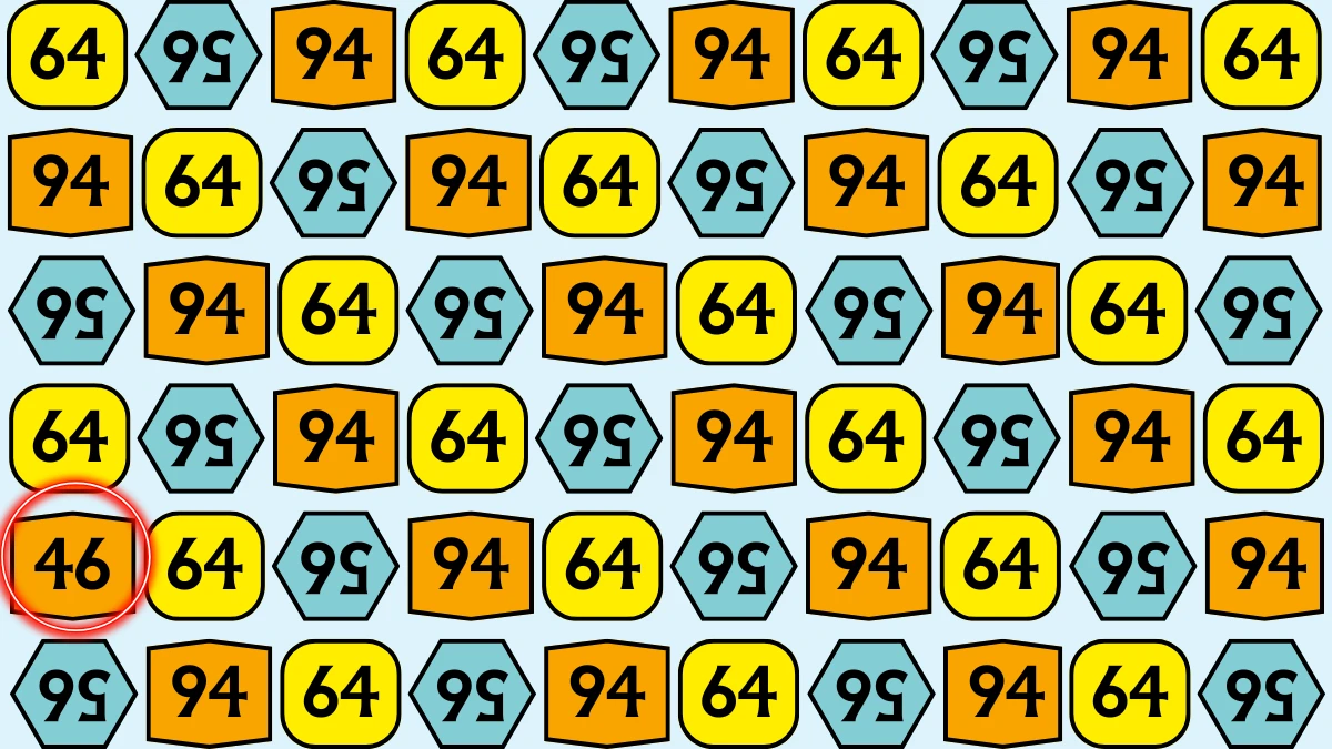 Optical Illusion: Within 6 Seconds Spot The Number 46 among 64,94 and Inverted 56