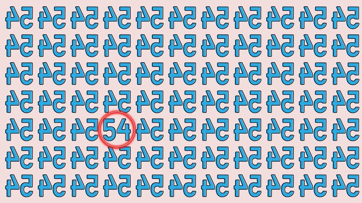Optical Illusion: Within 6 Seconds Spot The Number 54 among Inverted 54