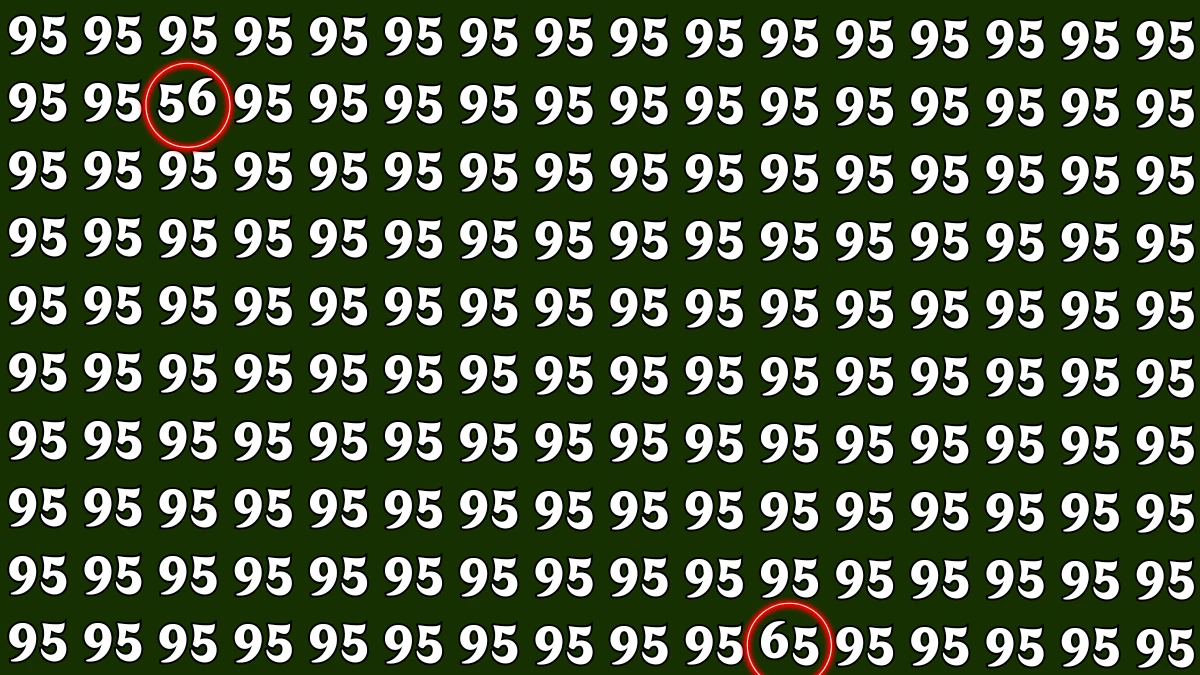 Optical Illusion: Within 6 Seconds Spot The Number 56 and 65 among 95