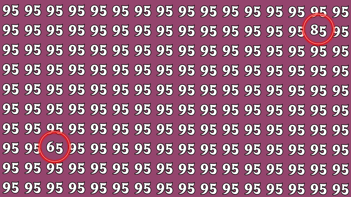 Optical Illusion: Within 6 Seconds Spot The Number 65 and 85 among 95