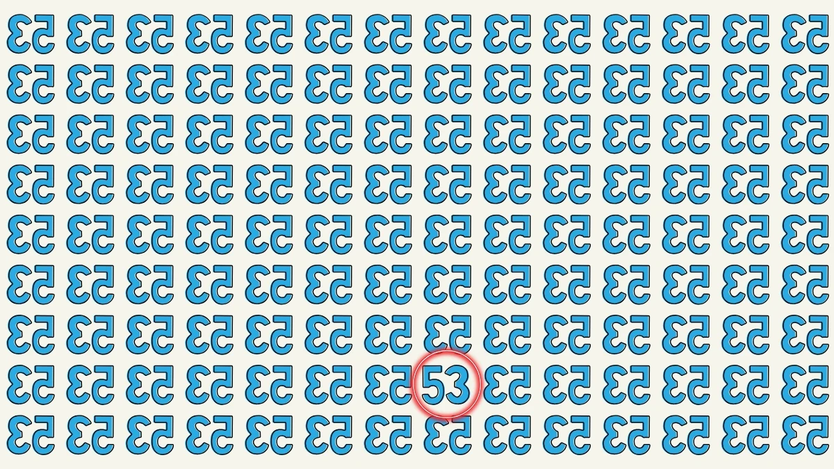 Optical Illusion: Within 7 Seconds Spot The Number 53 among Inverted 53