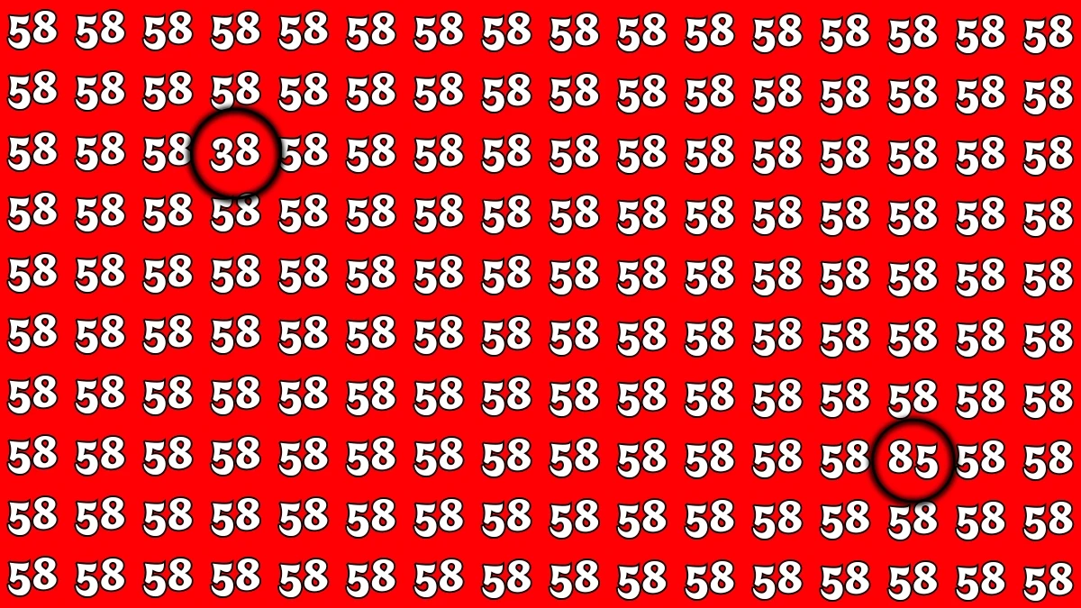 Optical Illusion: Within 7 Seconds Spot The Number 85 and 38 among 58