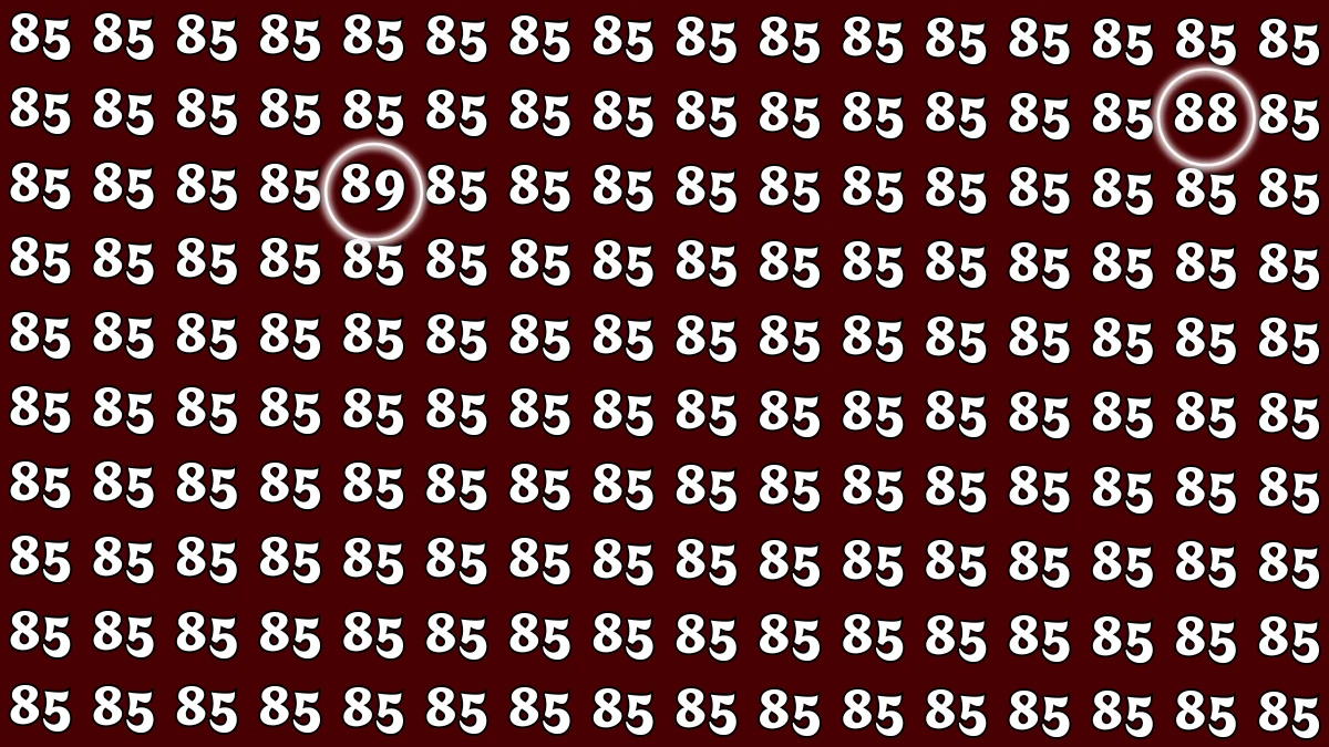Optical Illusion: Within 8 Seconds Spot The Number 88 and 89 among 85