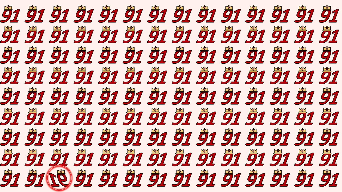 Optical Illusion: Within 9 Seconds Spot The Inverted 91 among 91