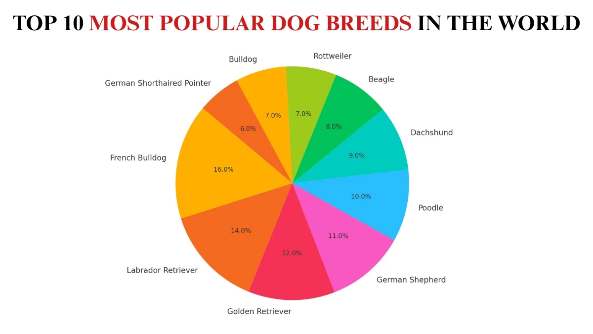Top 10 Most Popular Dog Breeds in the World