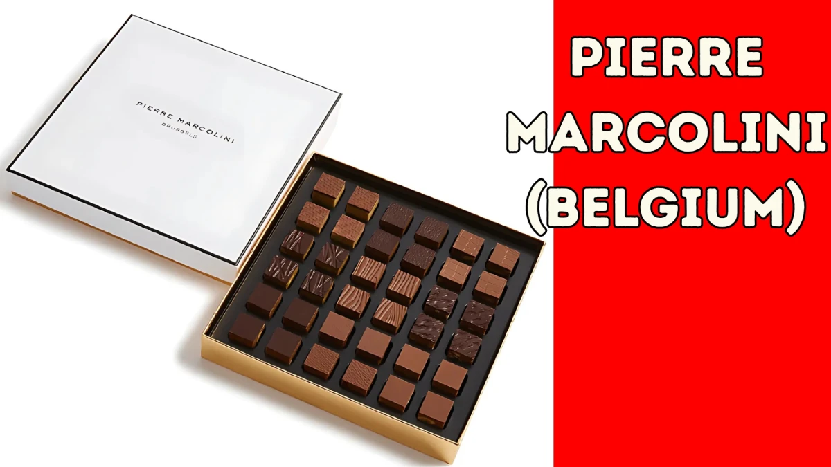 Top 10 Best Chocolate Brands in the World Ranked From Highest to Lowest