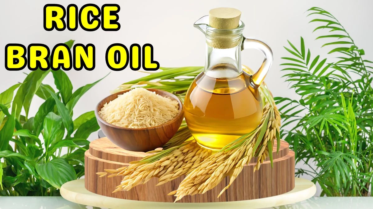 Say Goodbye to Hair Fall! Top 10 Best Hair Oils for Growth and Thickness