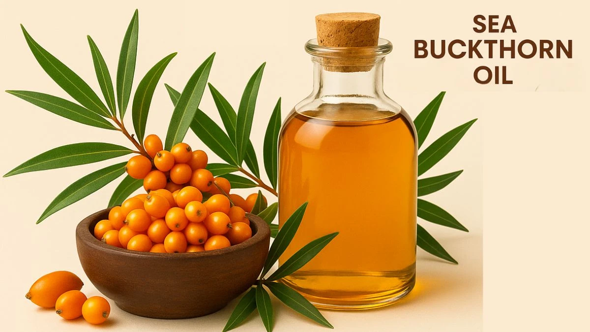 Say Goodbye to Hair Fall! Top 10 Best Hair Oils for Growth and Thickness