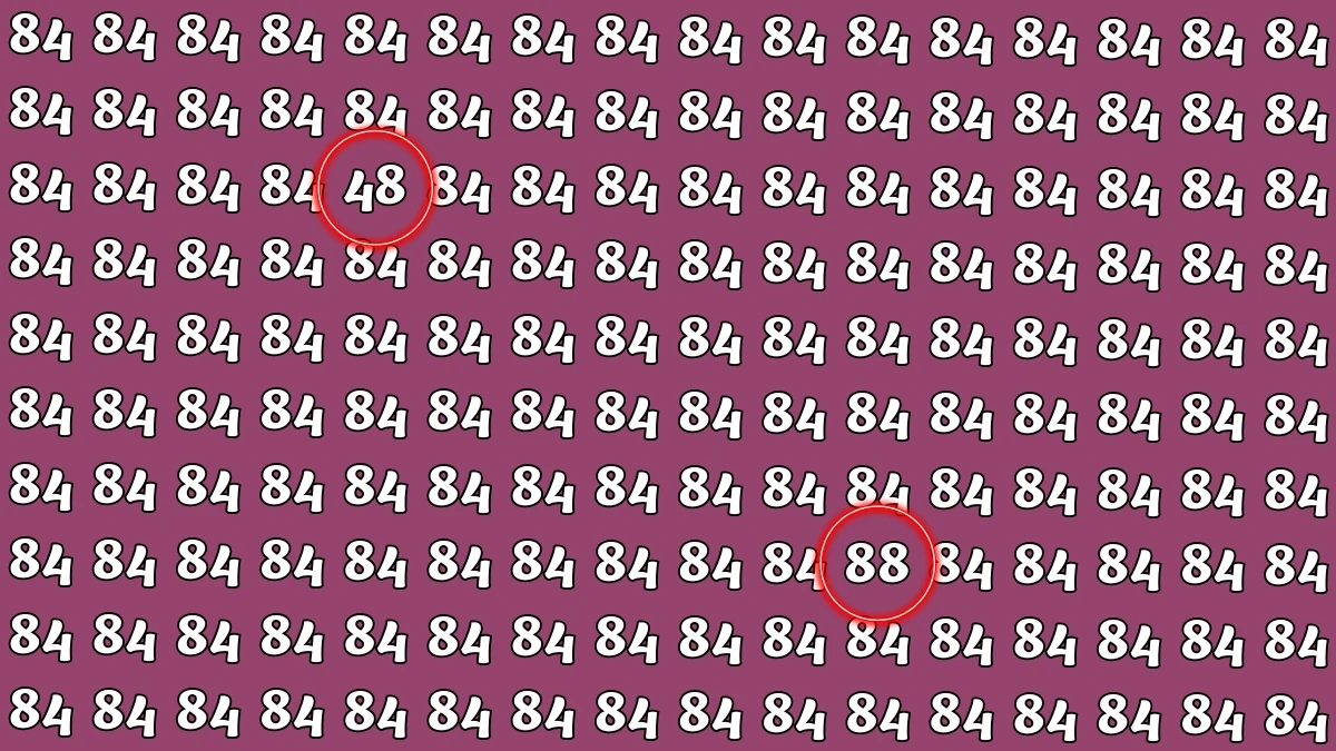 Optical Illusion: Within 7 Seconds Spot The Number 48 and 88 among 84