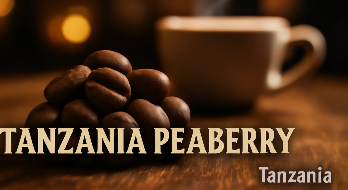 Top 10 Best Coffee in the World