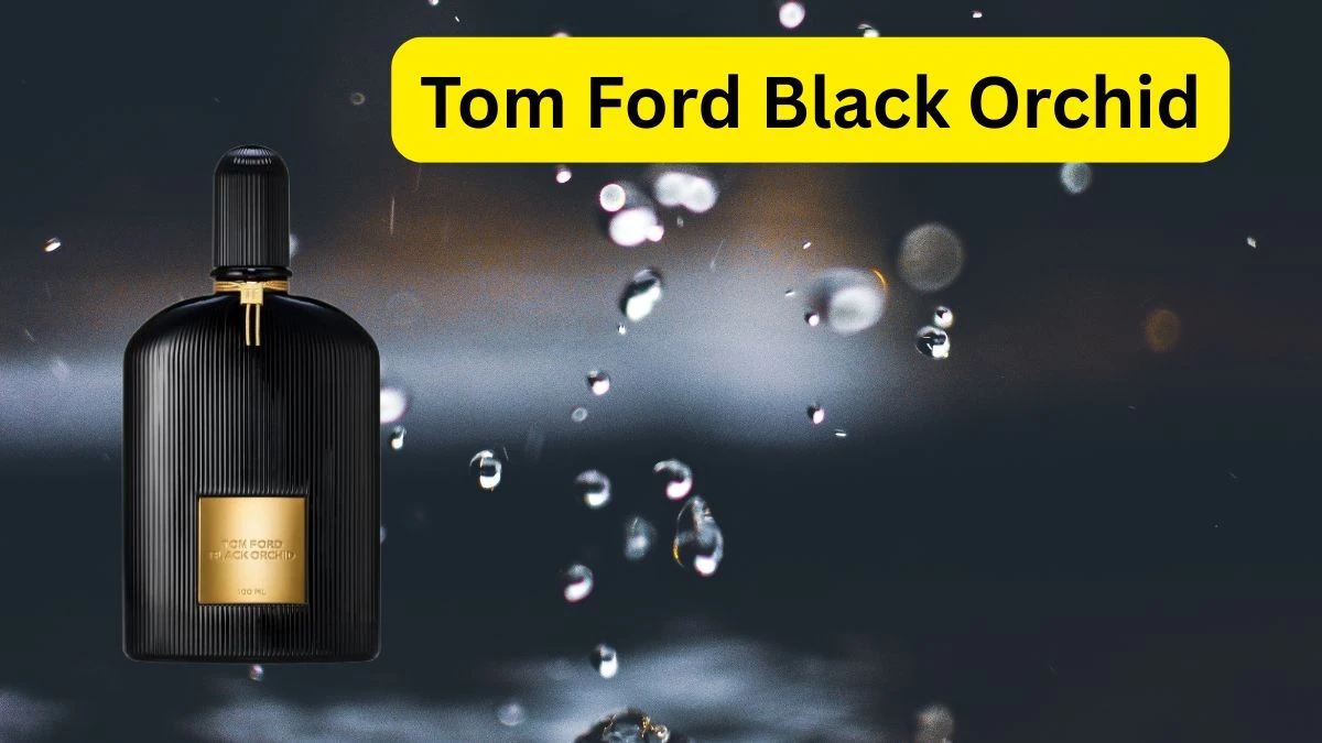 Top 10 Best Long-Lasting Perfumes for Women That Define Elegance