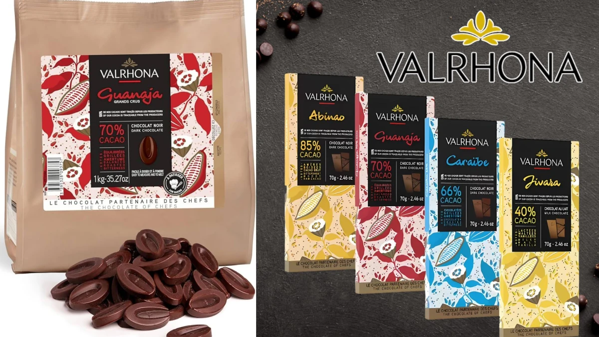 Top 10 Best Chocolate Brands in the World Ranked From Highest to Lowest