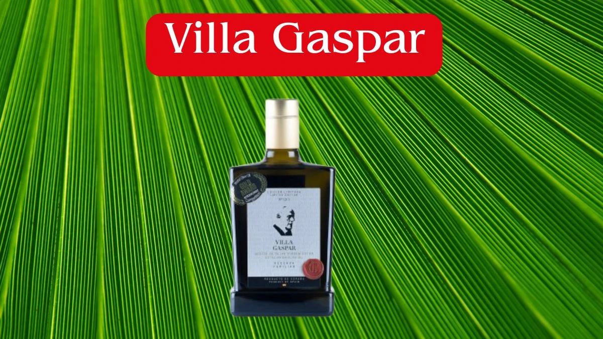 Top 10 Olive Oil Brands in the World