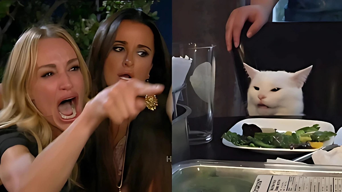 Top 10 Best Funny Memes on the Internet You Can't Stop Laughing