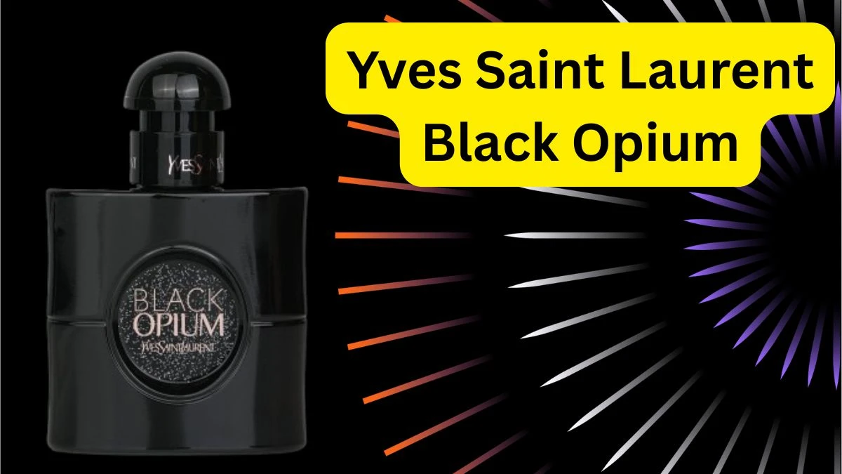 Top 10 Best Long-Lasting Perfumes for Women That Define Elegance