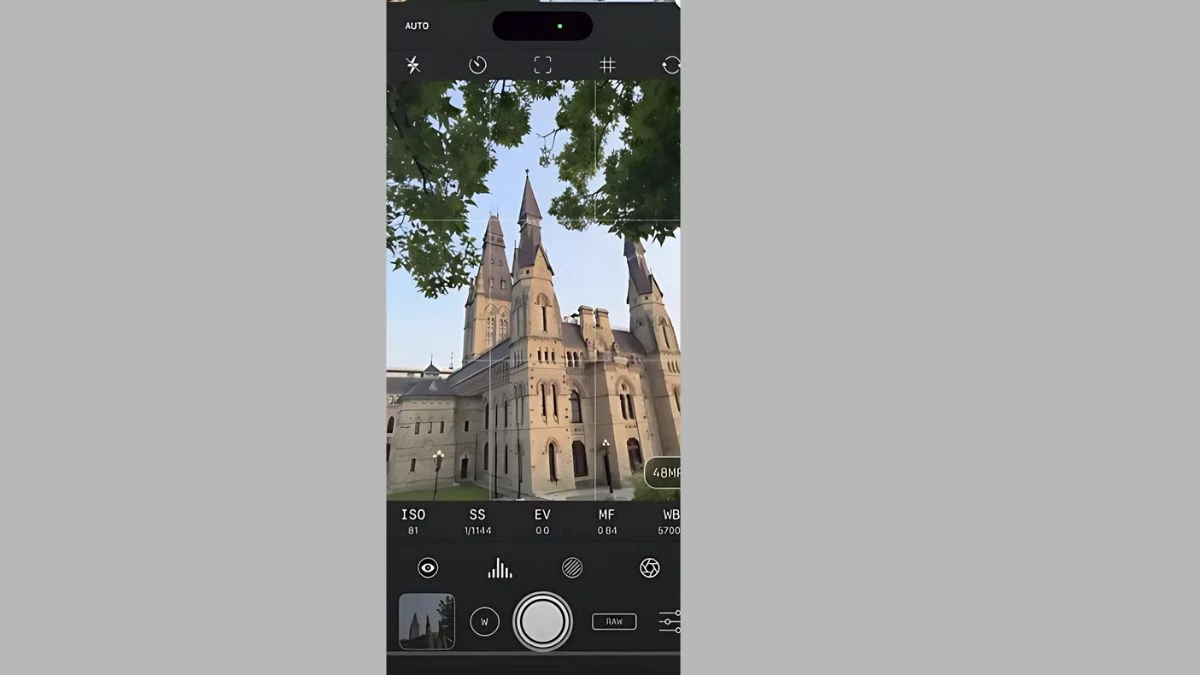 Mobile Photography: How to Take Professional Photos on Your Phone at Home
