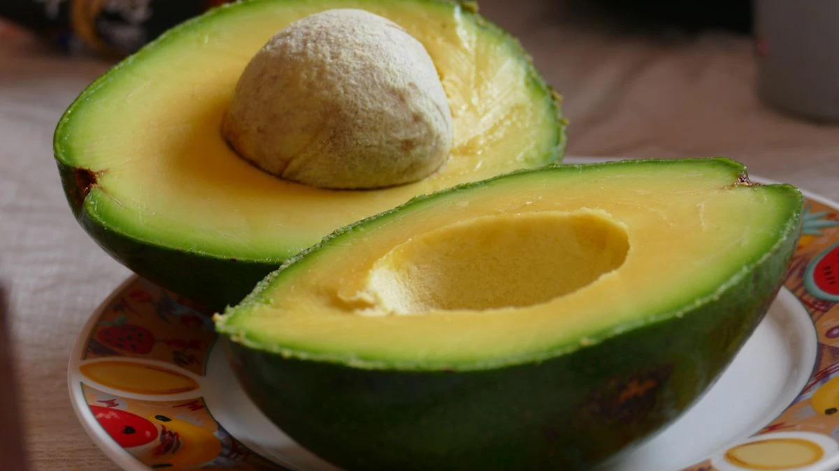 10 Common Foods That Will Kill Your Dog! Don't Feed This!
