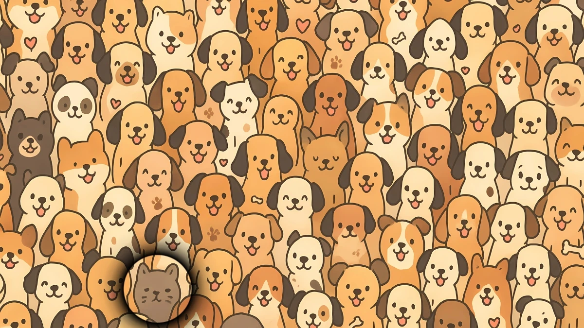 Brain Teaser 5 Secs Challenge: Can You Find the Hidden Cat Among Dogs