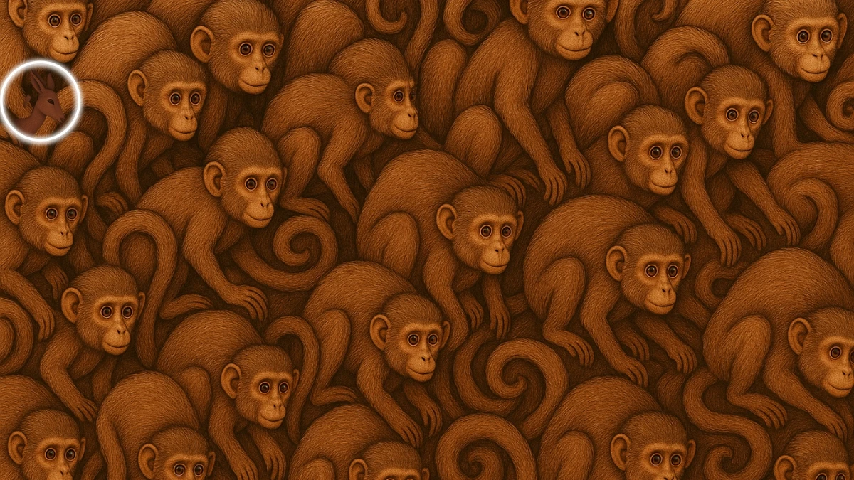 Brain Teaser 5 Secs Challenge: Can you find the Hidden Deer among Monkey