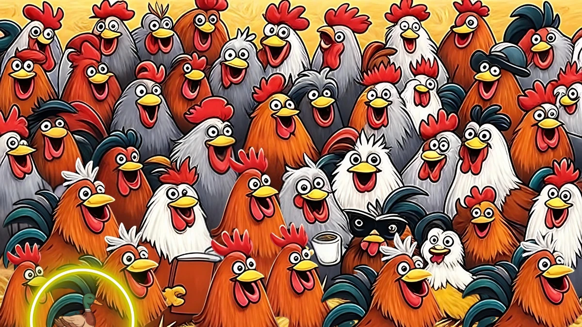 Brain Teaser 5 Secs Challenge: Can you find the Hidden Duck among Hens