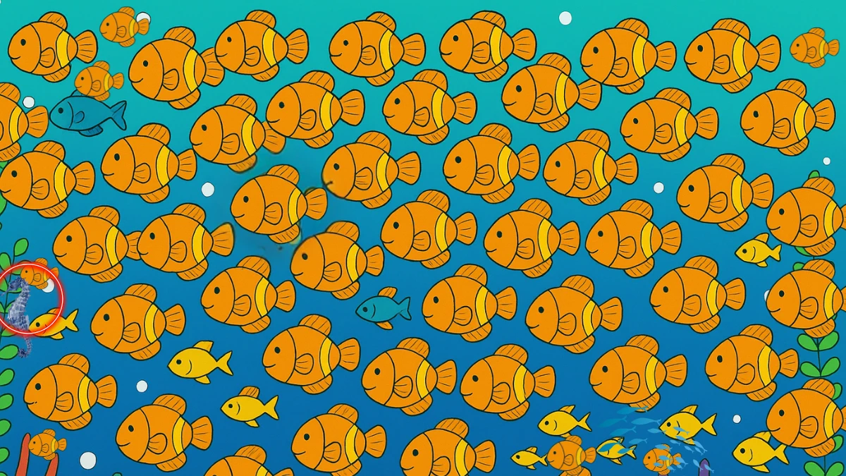 Brain Teaser 5 Secs Challenge: Can you find the Hidden Seahorse among Clownfish
