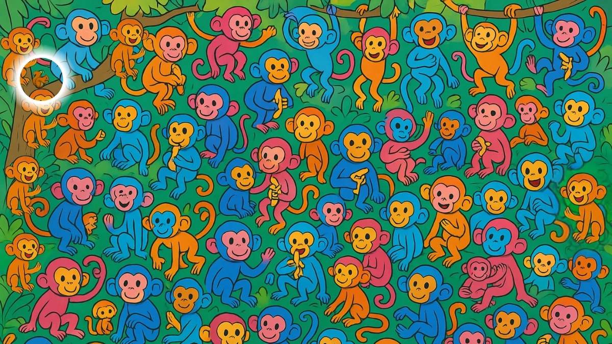 Brain Teaser 5 Secs Challenge: Can You Find the Hidden Squirrel Among Monkeys