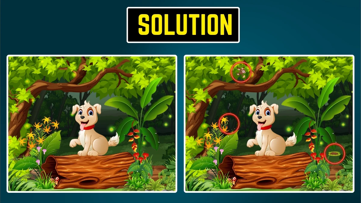 Brain Teaser: Spot the 3 differences within 9 Secs
