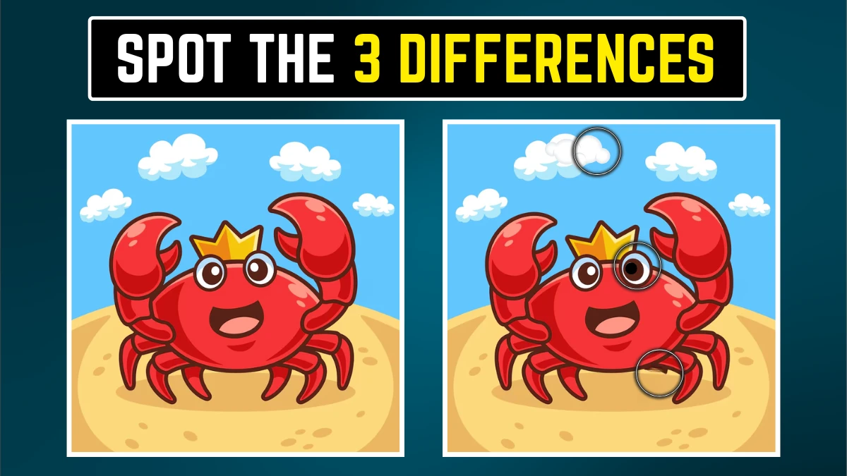 Brain Teaser: Within 10 Seconds Spot the 3 Differences in the Crab Pictures